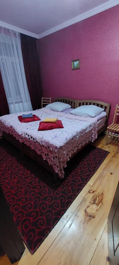 Lela Rezo Guesthouse Kazbegi Exterior foto